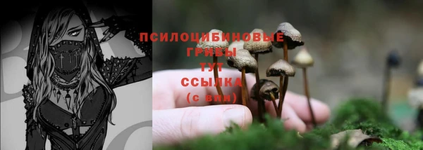 хмурый Богородск