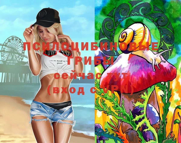 хмурый Богородск