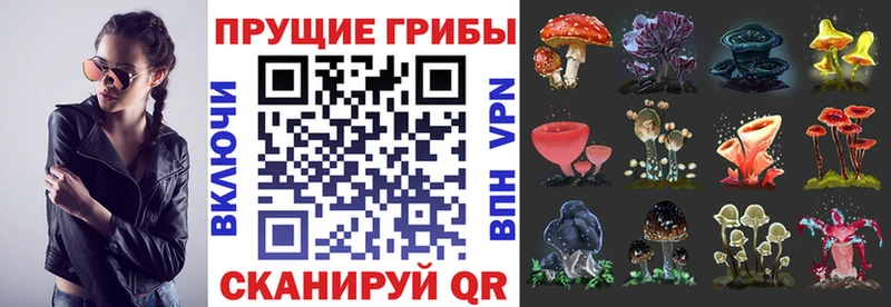 Псилоцибиновые грибы мухоморы  Высоцк 